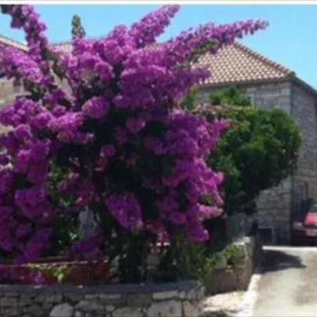 Glavica- Two Bedroom With Terrace - St Apartamento Supetar