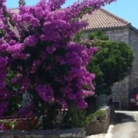 Διαμέρισμα Glavica- Two Bedroom With Terrace - St Supetar